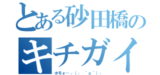 とある砂田橋のキチガイ（ホモォ…┌（┌ ＾ｏ＾）┐）