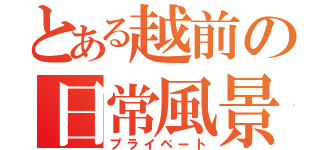 とある越前の日常風景（プライベート）