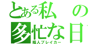 とある私の多忙な日（暇人ブレイカー）