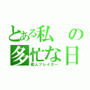 とある私の多忙な日（暇人ブレイカー）