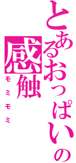 とあるおっぱいの感触（モミモミ）