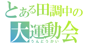 とある田調中の大運動会（うんどうかい）