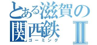 とある滋賀の関西鉄Ⅱ（ゴーミング）