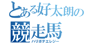 とある好太朗の競走馬（ハリボテエレジー）