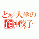 とある大学の食神餃子王（ニーハオ）