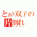 とある双子の片割れ（ミタラシ）