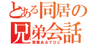 とある同居の兄弟会話（青春あるでひど）