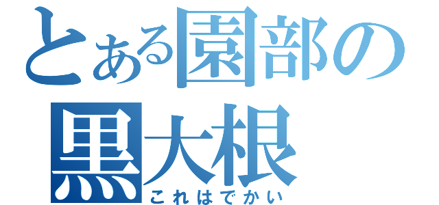 とある園部の黒大根（これはでかい）