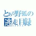 とある野狐の逃走目録（ニゲテマス）