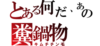 とある何だ、あの糞鍋物（キムチチン毛）