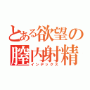 とある欲望の膣内射精（インデックス）