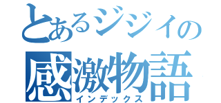 とあるジジイの感激物語（インデックス）