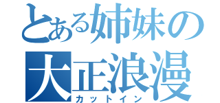 とある姉妹の大正浪漫砲（カットイン）