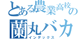 とある農業高校の蘭丸バカ（インデックス）