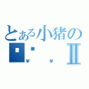 とある小猪の贝贝Ⅱ（攀攀）