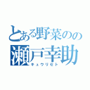 とある野菜のの瀬戸幸助（キュウリセト）