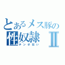 とあるメス豚の性奴隷Ⅱ（チンポ狂い）