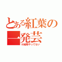 とある紅葉の一発芸（※結局やってない）