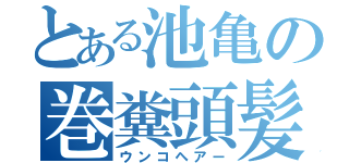 とある池亀の巻糞頭髪（ウンコヘアー）