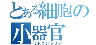 とある細胞の小器官（ミトコンドリア）