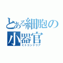 とある細胞の小器官（ミトコンドリア）