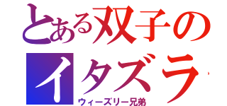 とある双子のイタズラ（ウィーズリー兄弟）