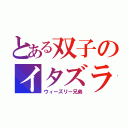 とある双子のイタズラ（ウィーズリー兄弟）