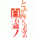 とある四天宝寺の白石蔵ノ介（バイブル）