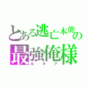 とある逃亡本能の最強俺様（ルキア）