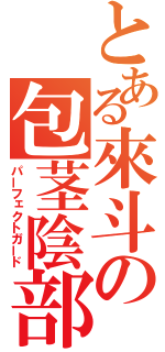 とある來斗の包茎陰部（パーフェクトガード）