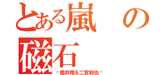 とある嵐の磁石（〜櫻井翔＆二宮和也〜）