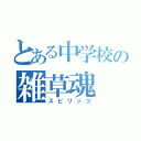 とある中学校の雑草魂（スピリッツ）