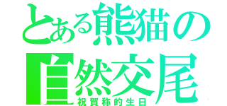 とある熊猫の自然交尾（祝賀称的生日）