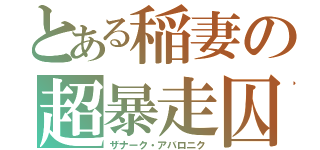 とある稲妻の超暴走囚（ザナーク・アバロニク）