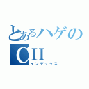 とあるハゲのＣＨ（インデックス）