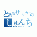 とあるサッカー最強のしゅんちゃん（夢を諦めるなよ）