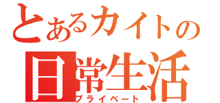 とあるカイトの日常生活（プライベート）