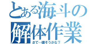 とある海斗の解体作業（さて…壊そうかな？）