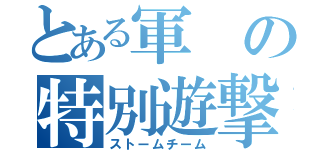 とある軍の特別遊撃隊（ストームチーム）