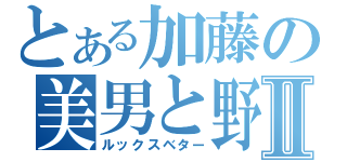 とある加藤の美男と野獣Ⅱ（ルックスベター）