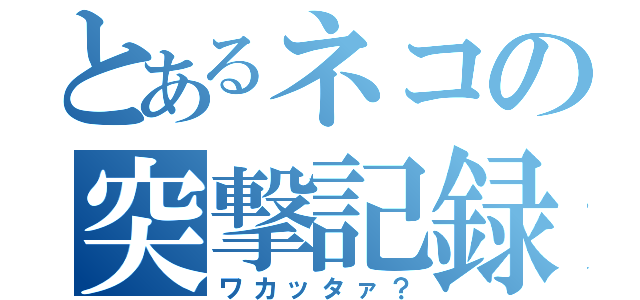 とあるネコの突撃記録（ワカッタァ？）