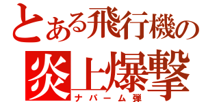 とある飛行機の炎上爆撃（ナパーム弾）