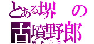 とある堺の古墳野郎（横チ◯コ）