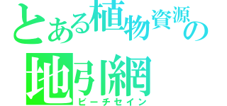 とある植物資源の地引網（ビーチセイン）