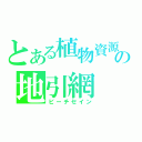 とある植物資源の地引網（ビーチセイン）