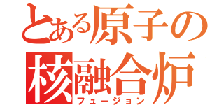 とある原子の核融合炉（フュージョン）