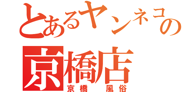 とあるヤンネコの京橋店（京橋　風俗）