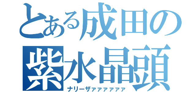 とある成田の紫水晶頭（ナリーザァァァァァァ）