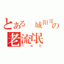 とある 城阳哥の老流氓（不解释）