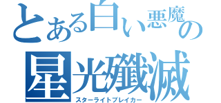 とある白い悪魔の星光殲滅（スターライトブレイカー）